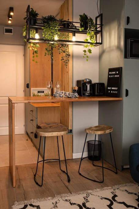 Blue Moon. Cozy Apartment Near Iulius Mall Cluj-Napoca Luaran gambar