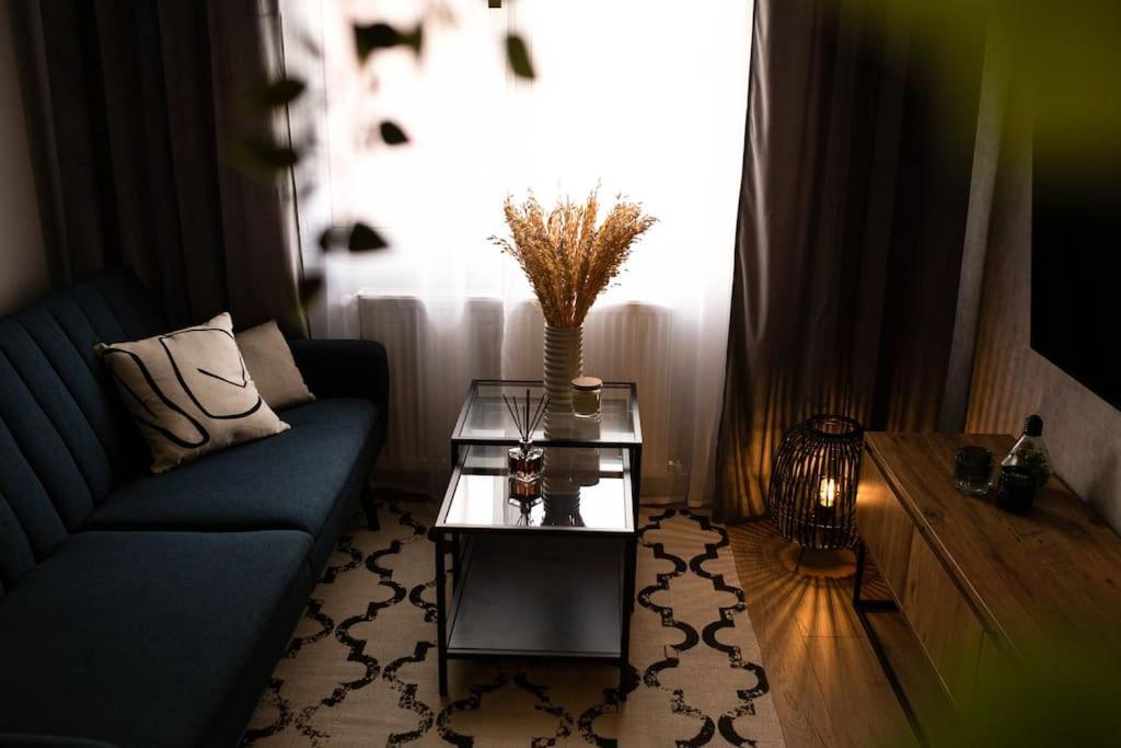 Blue Moon. Cozy Apartment Near Iulius Mall Cluj-Napoca Luaran gambar
