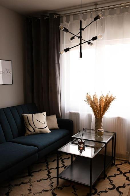 Blue Moon. Cozy Apartment Near Iulius Mall Cluj-Napoca Luaran gambar